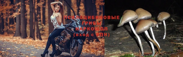стафф Пестово