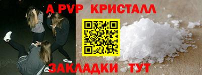 прущие грибы Камышлов