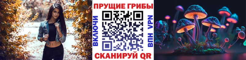 Галлюциногенные грибы мицелий  купить  сайты  Ртищево 